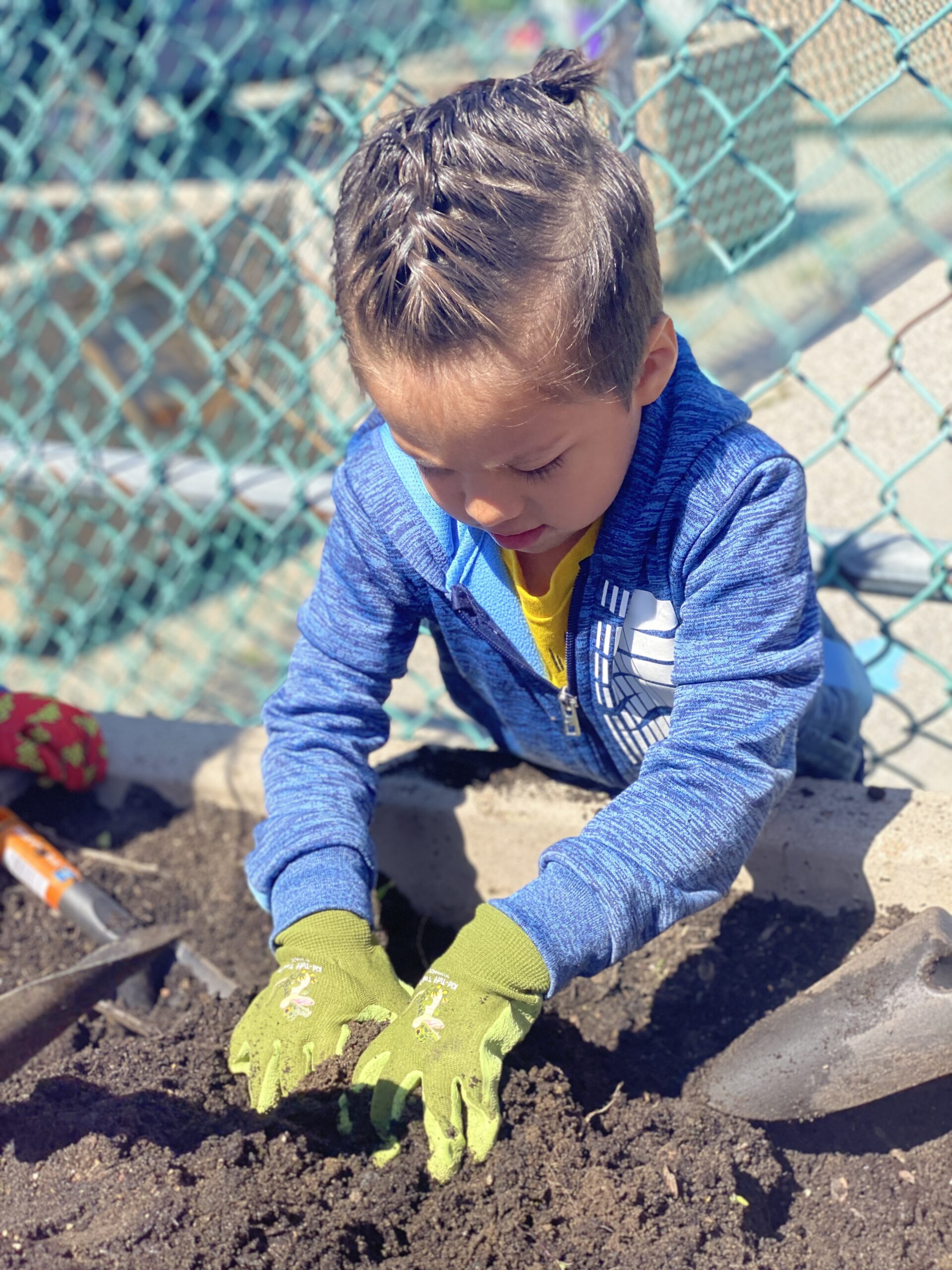 Farm to PreK: Gardens that Engage Young Children - Massachusetts Farm ...